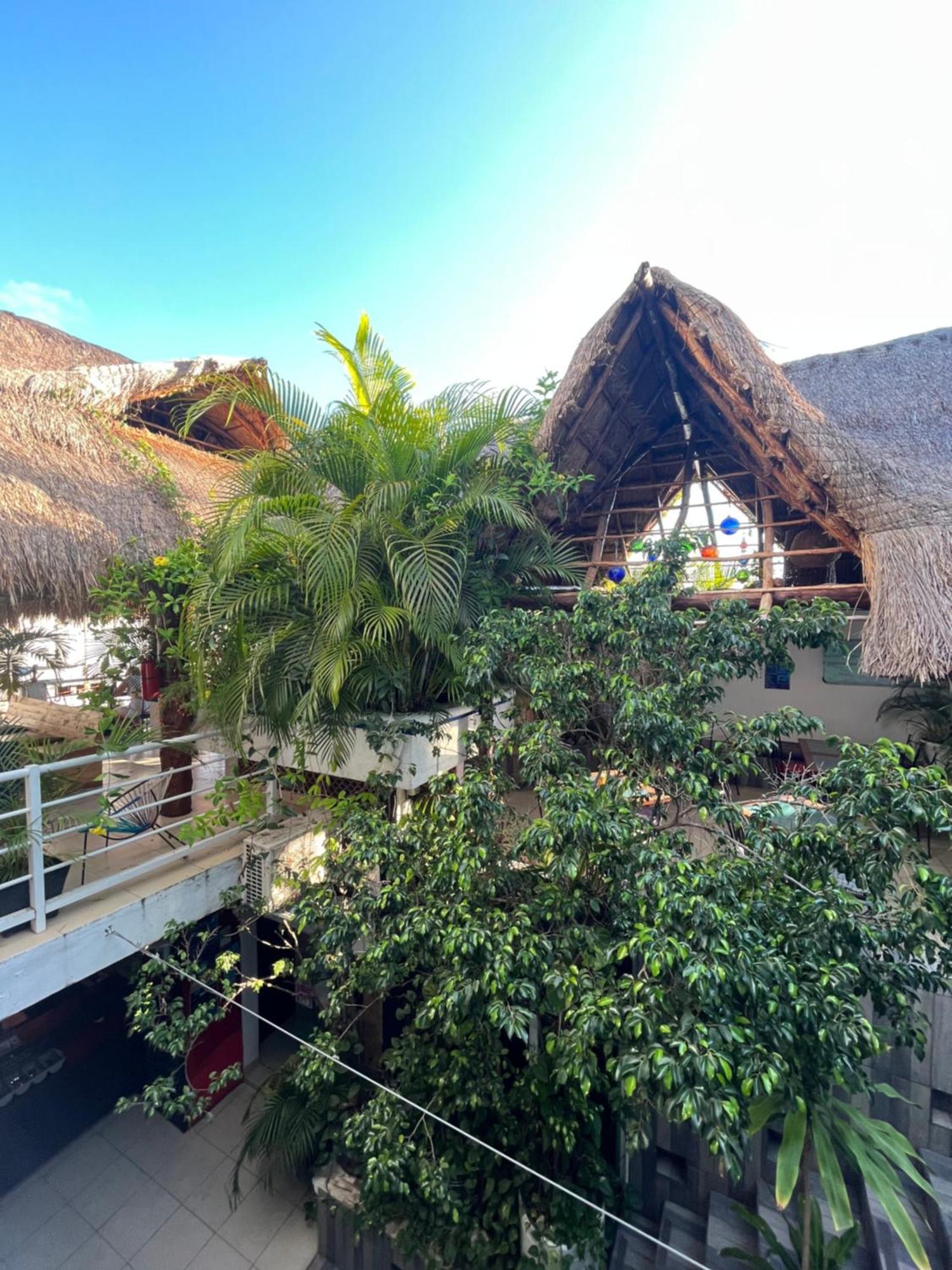 Hostelito Hotel Cozumel Luaran gambar